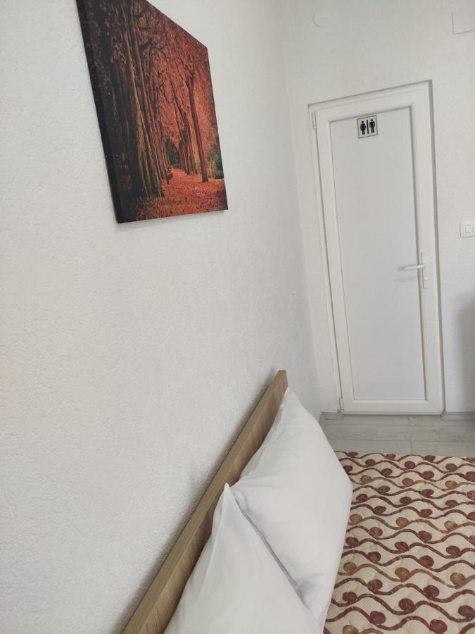 Villa Ivanovi Ohrid Esterno foto